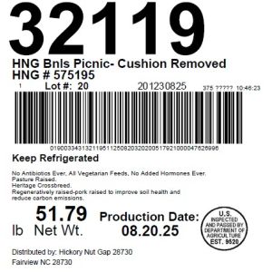HNG Bnls Picnic- Cushion Removed HNG # 575195