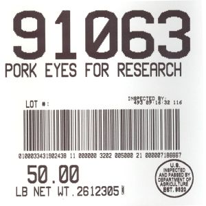 Pork Eyes For Research